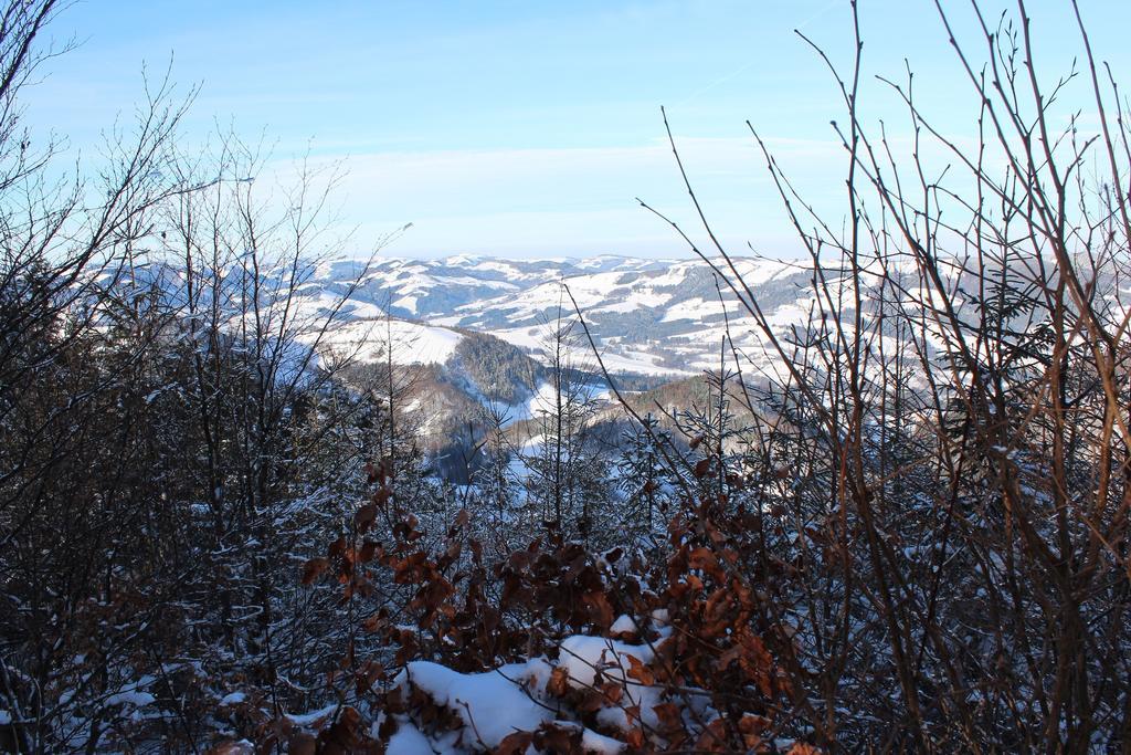 Hirmhof Villa Reinsberg Luaran gambar