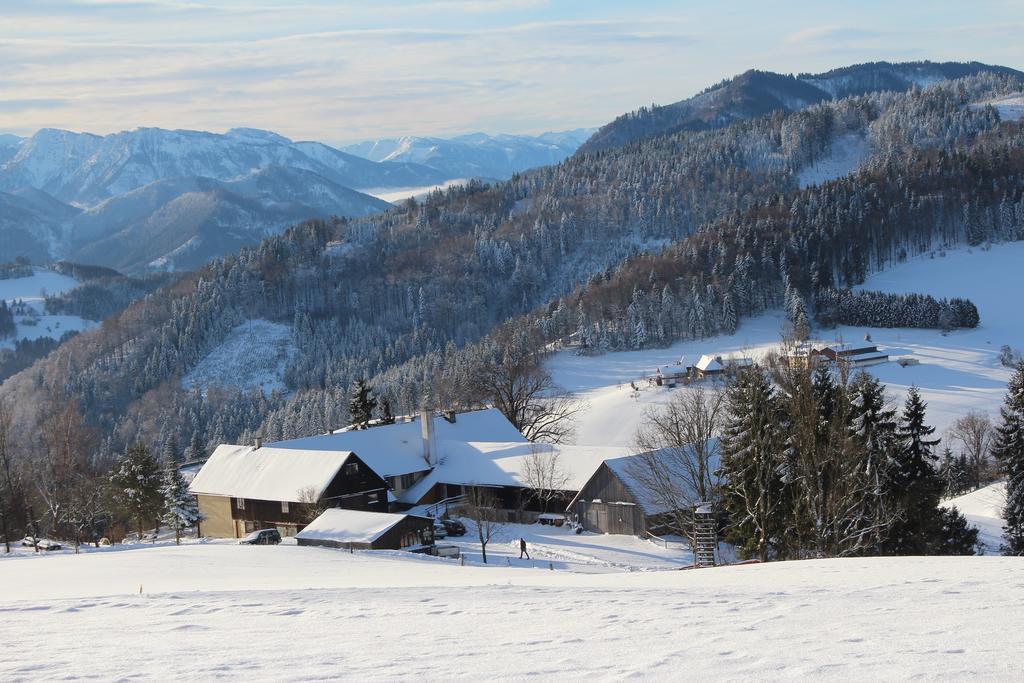 Hirmhof Villa Reinsberg Luaran gambar