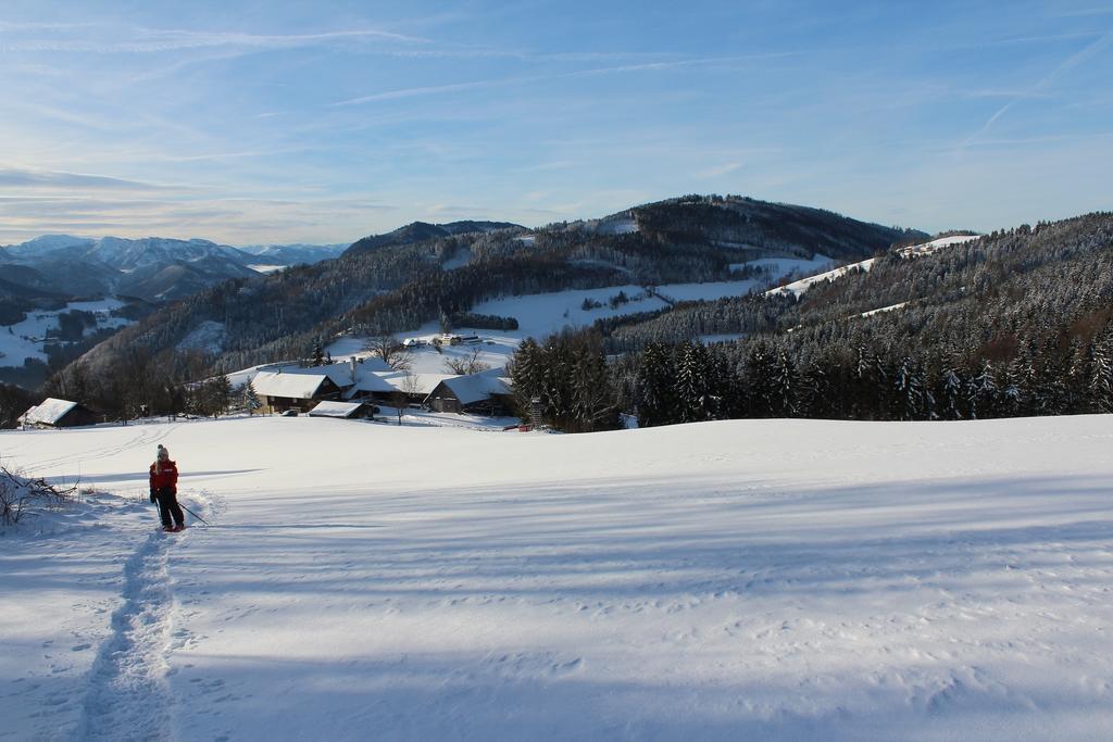 Hirmhof Villa Reinsberg Luaran gambar