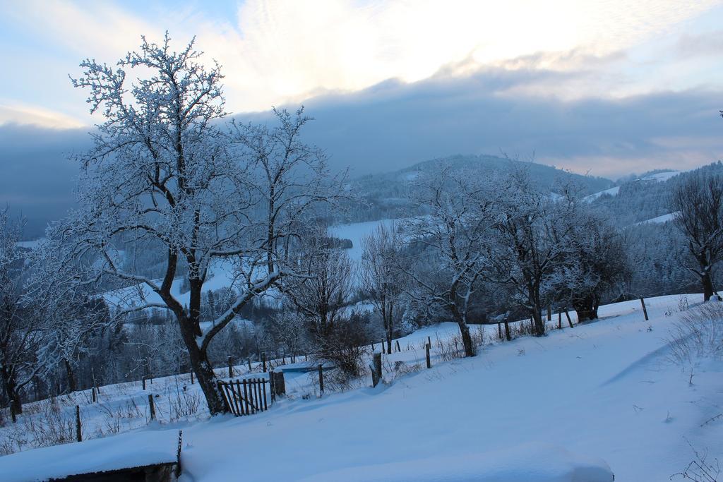 Hirmhof Villa Reinsberg Luaran gambar