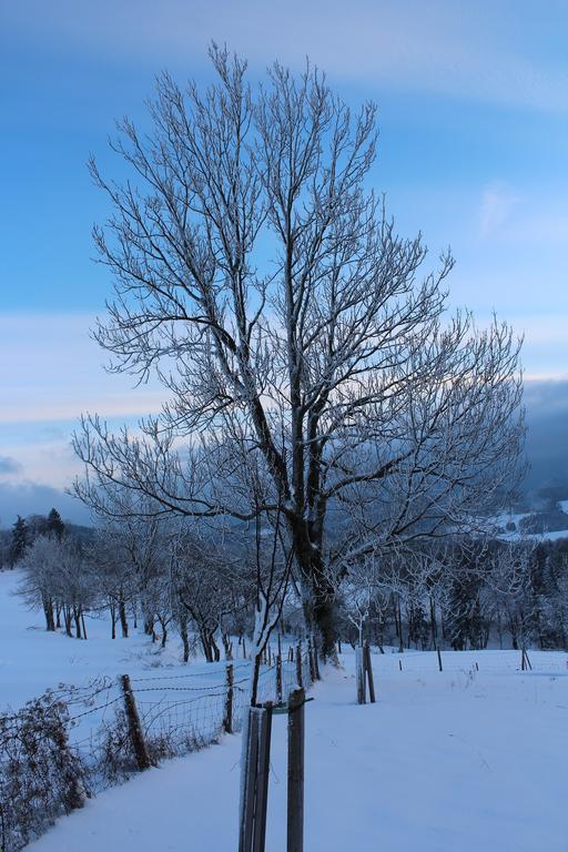 Hirmhof Villa Reinsberg Luaran gambar