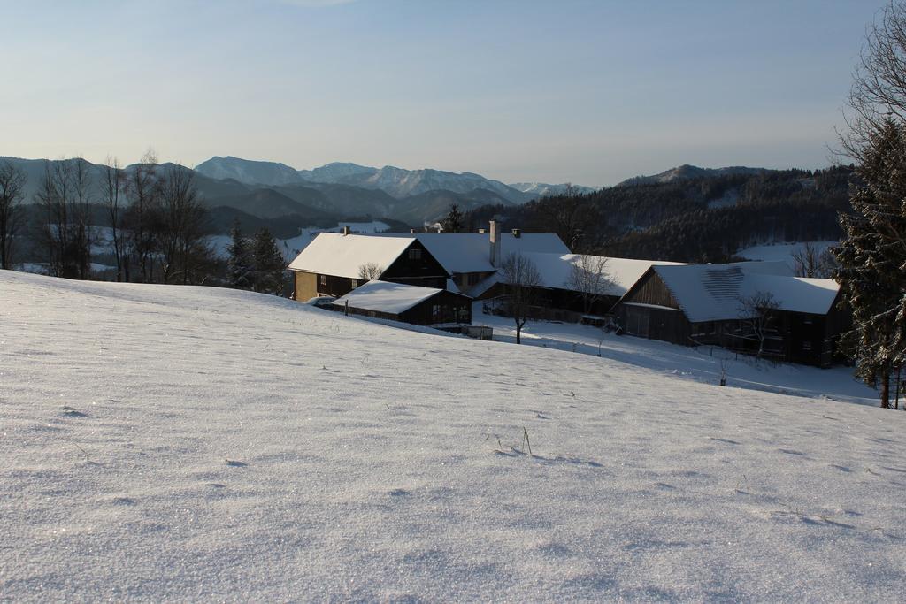 Hirmhof Villa Reinsberg Luaran gambar