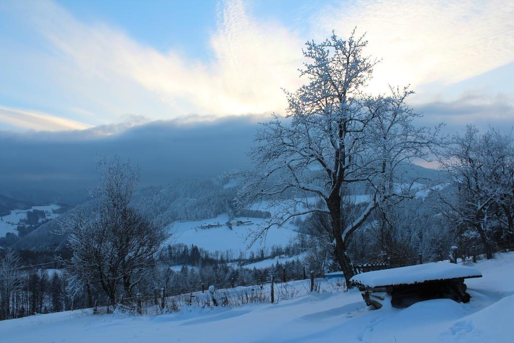 Hirmhof Villa Reinsberg Luaran gambar