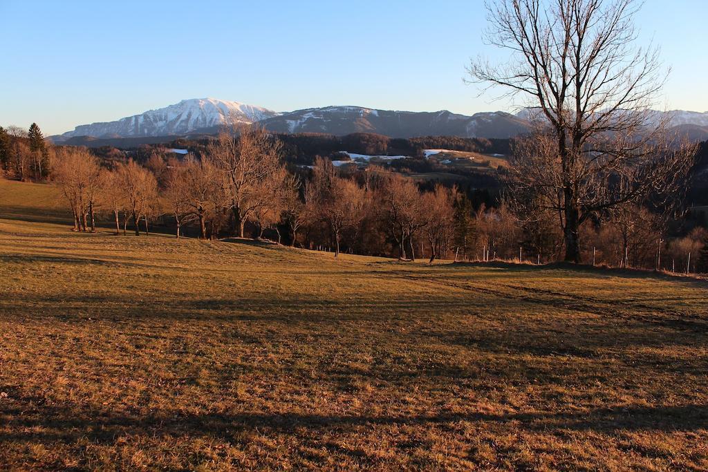 Hirmhof Villa Reinsberg Luaran gambar