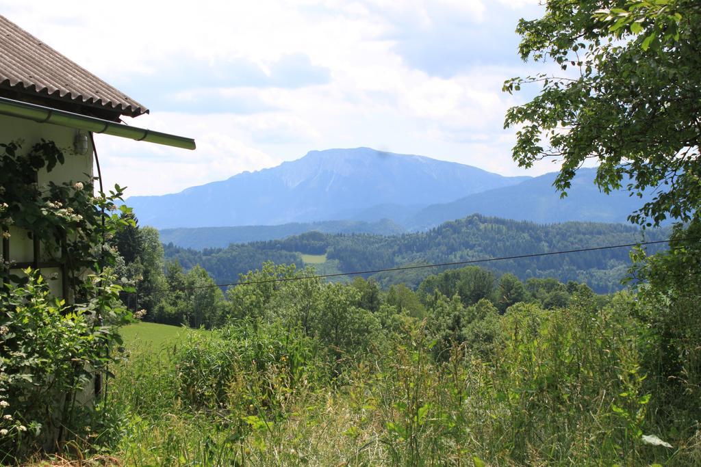 Hirmhof Villa Reinsberg Luaran gambar