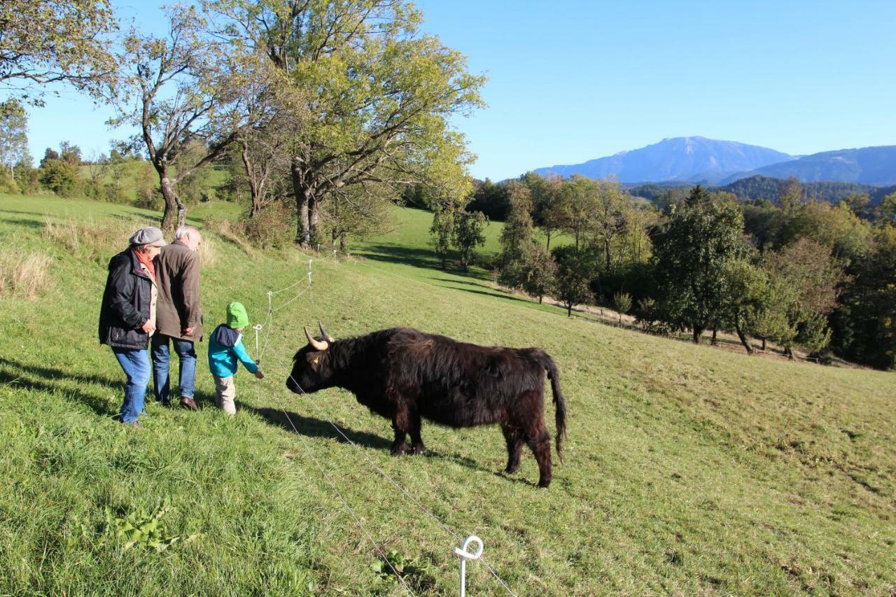 Hirmhof Villa Reinsberg Luaran gambar